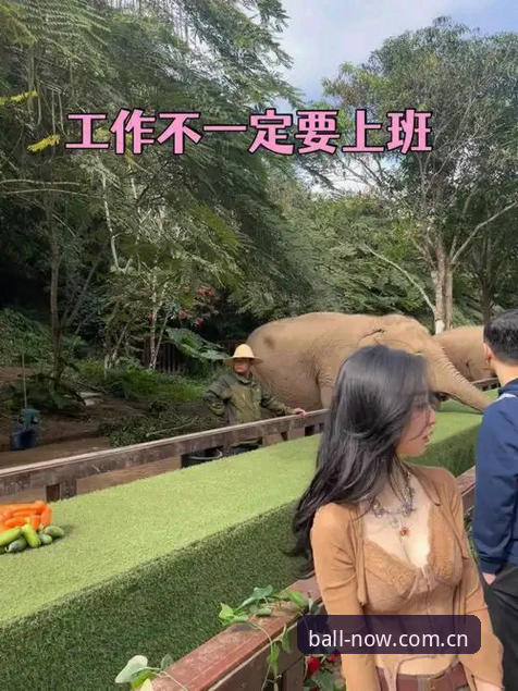 买球旧版入口 vs 更稳的cn入口速率：别再走冤枉路了